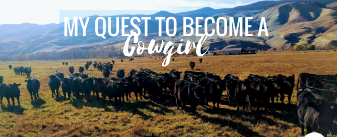My Quest to Become a Cowgirl: Part 1