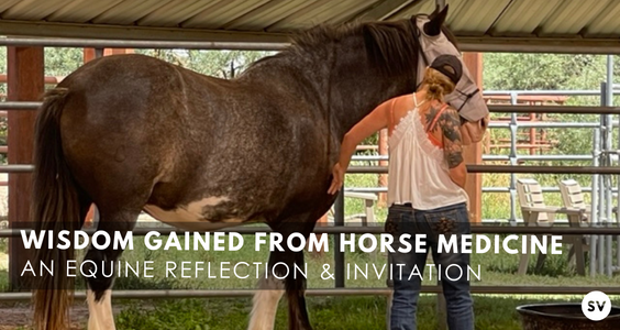 Wisdom Gained From Horse Medicine