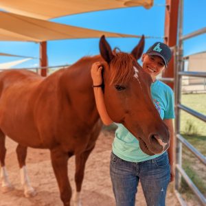 horse medicine