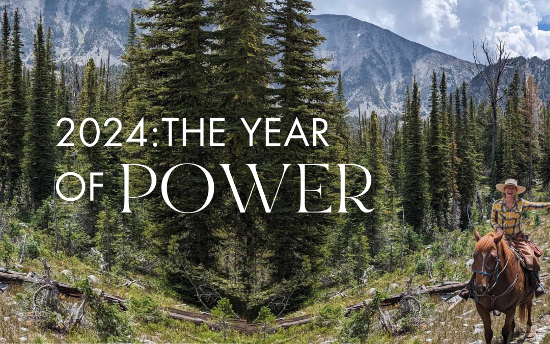 Poems of Power…2024: The Year of Power