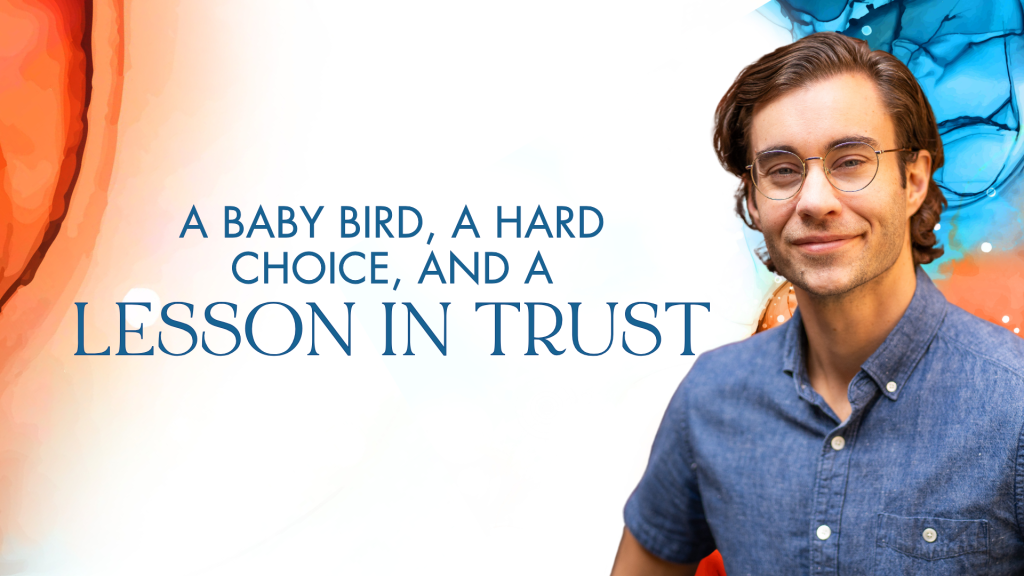 A Baby Bird, a Hard Choice, and a Lesson in Trust