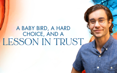 A Baby Bird, a Hard Choice, and a Lesson in Trust