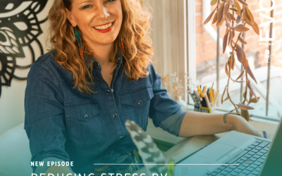 Reducing Stress by Aligning With Our Values with MaryBeth Hyland